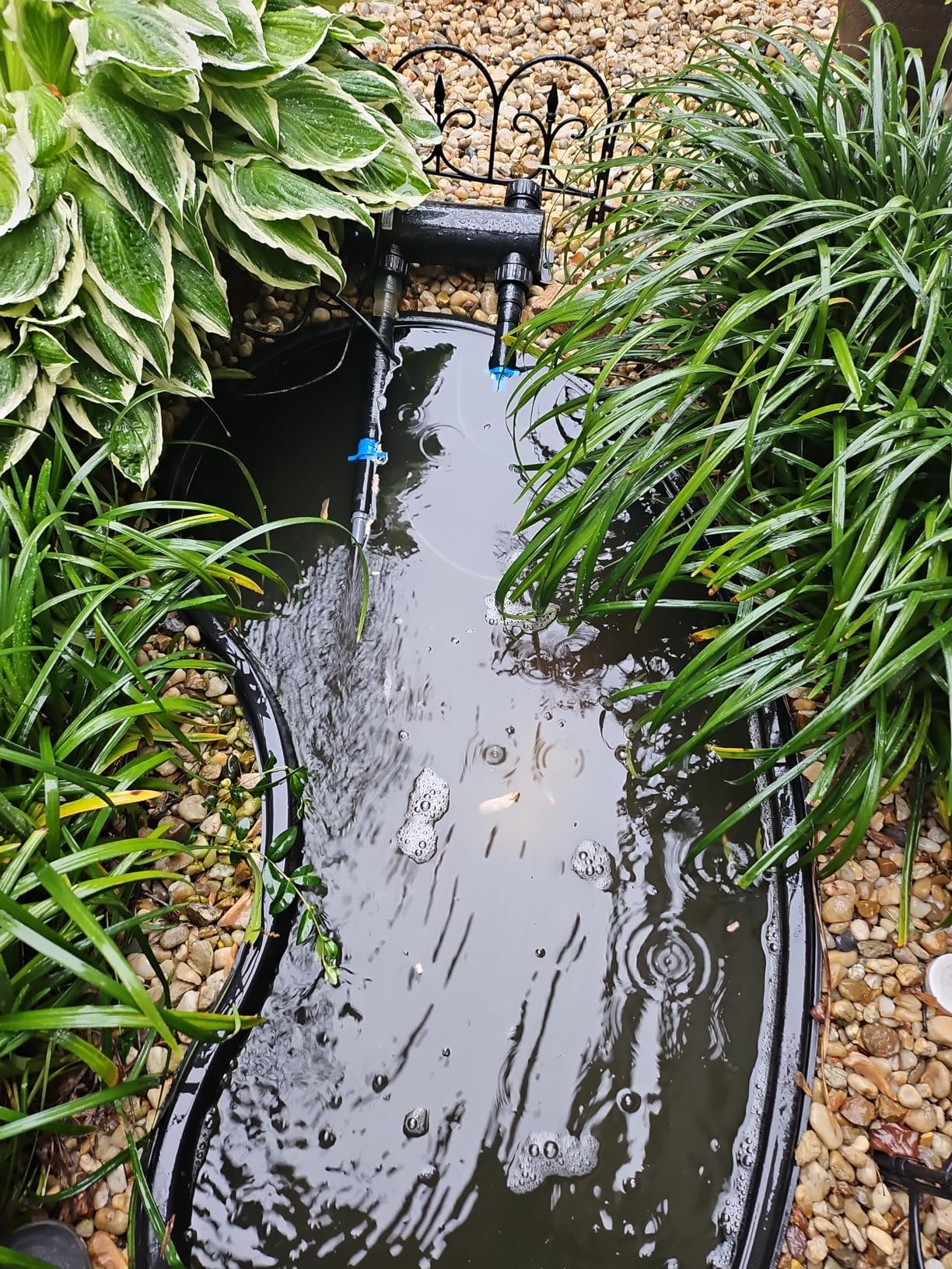 36W Non-Submersible UV Ultraviolet Light Clarifier Lamp Filter for Aquarium Koi Pond Fish Tank customer photo 1