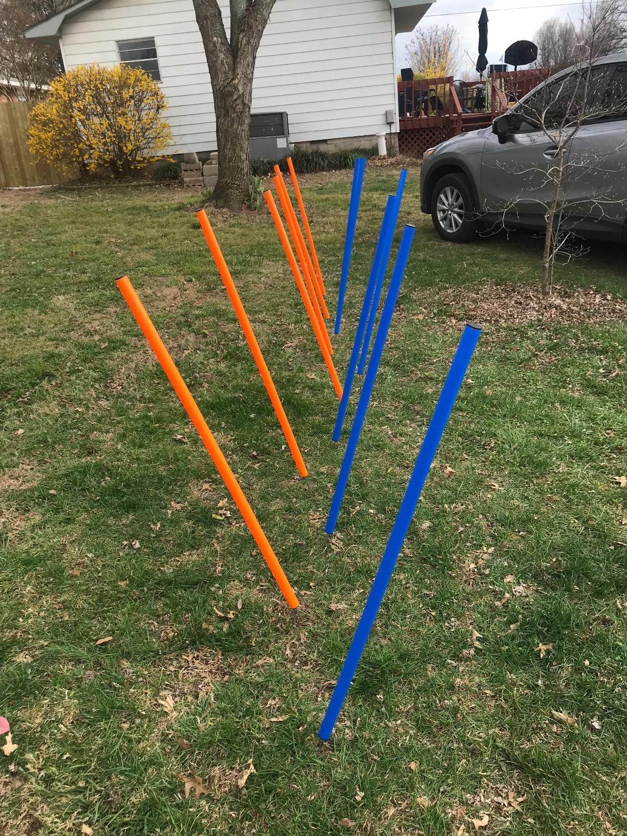 PAWISE Dog Agility Training Equipment, Puppy Agility Kit with Jump Ring, Adjustable Hurdles & Weave Poles, Outdoor Dog Obstacle Course for Backyard customer photo 1