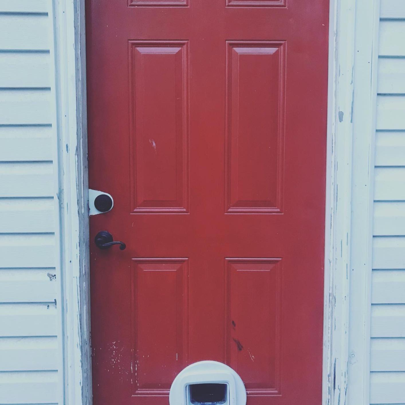 PetSafe Microchip Cat Door, Exterior or Interior Pet Door - Multi-User RFID Access Up to 40 Pets, 4-Way Locking, Weatherproof, DIY Easy Install customer photo 2