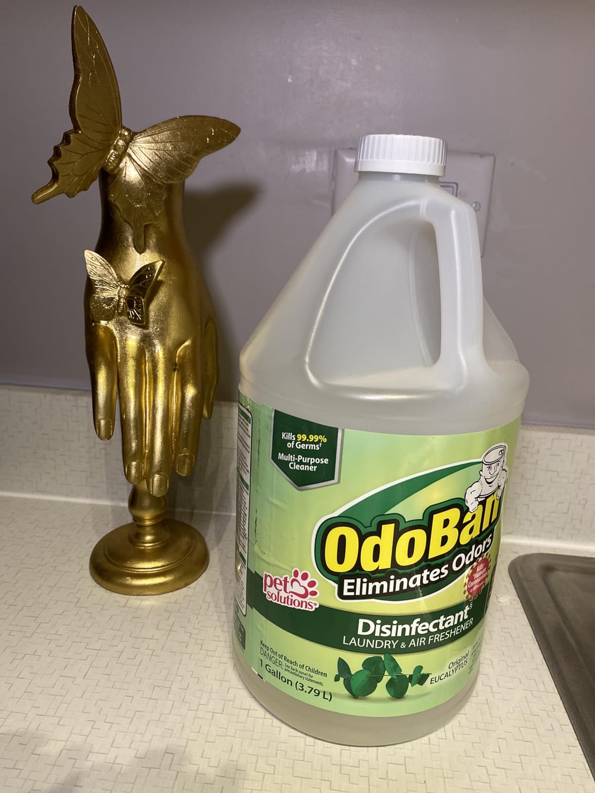 OdoBan Disinfectant Concentrate and Odor Eliminator, Made in the USA, Original Eucalyptus Scent, 1 Gallon customer photo 2