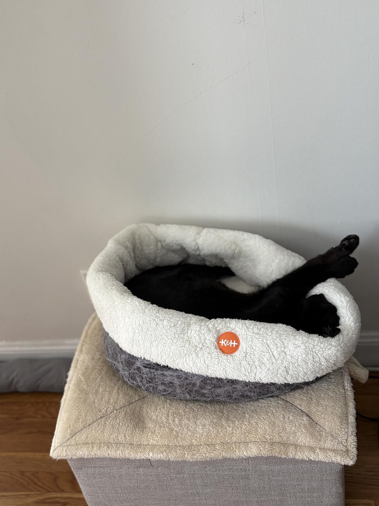 K&H Pet Products Heated Cat Bed Indoor, Thermo-Snuggle Cup Bomber Soft Heated Pet Bed for Large Indoor Cats and Small Dogs, Machine Washable, Waterproof Heated Pad, Safety Listed - 18 X 14in Gray customer photo 2