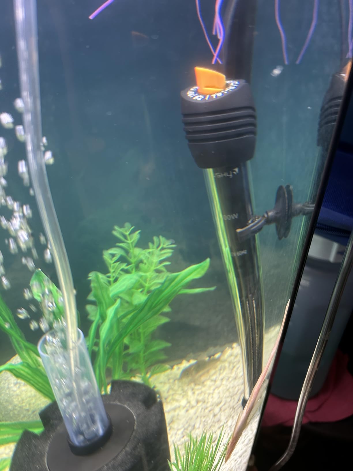 Orlushy Submersible Aquarium Heater,300W Adjustable Fish Tank Heater with 2 Suction Cups Free Thermometer Suitable for Marine Saltwater and Freshwater customer photo 1