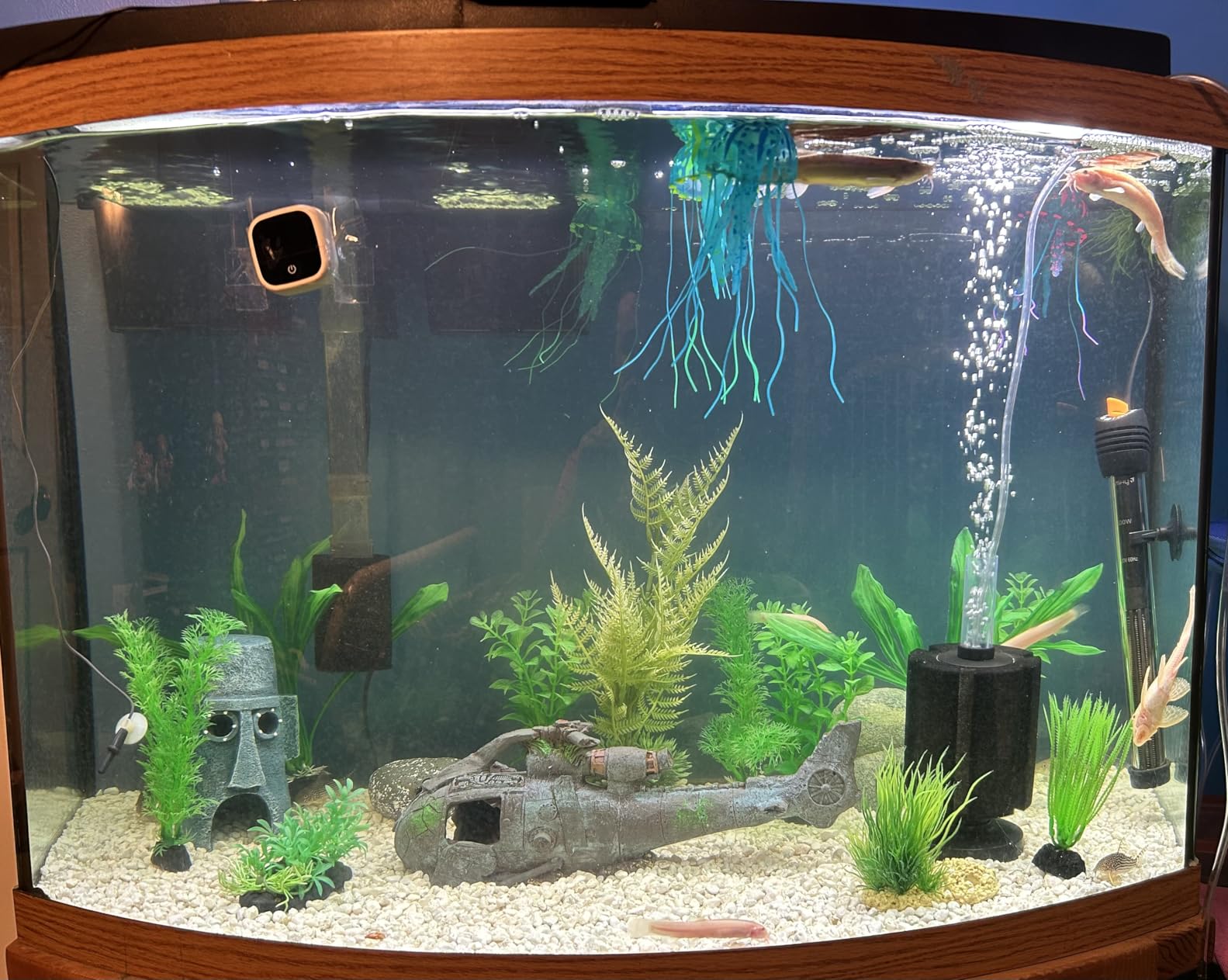Orlushy Submersible Aquarium Heater,300W Adjustable Fish Tank Heater with 2 Suction Cups Free Thermometer Suitable for Marine Saltwater and Freshwater customer photo 2