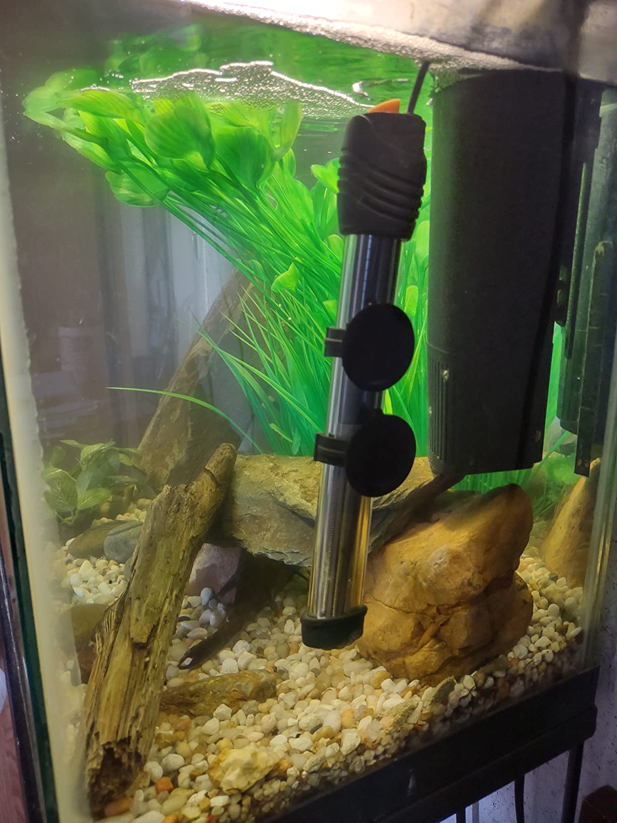 Orlushy Submersible Aquarium Heater,100W Adjustable Fish Tank Heater with 2 Suction Cups Free Thermometer Suitable for Marine Saltwater and Freshwater customer photo 2