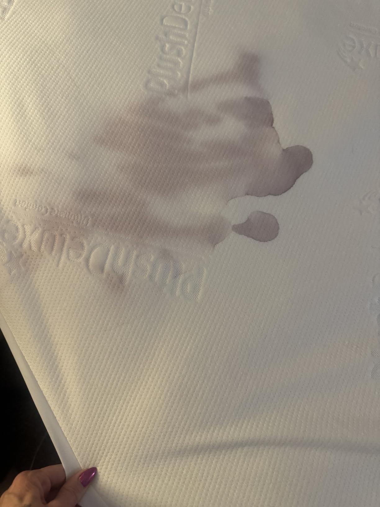 PlushDeluxe Premium Bamboo Mattress Protector - King Size, Waterproof, & Ultra Soft Breathable Noiseless Washable Bed Mattress Cover for Comfort & Protection - White customer photo 2
