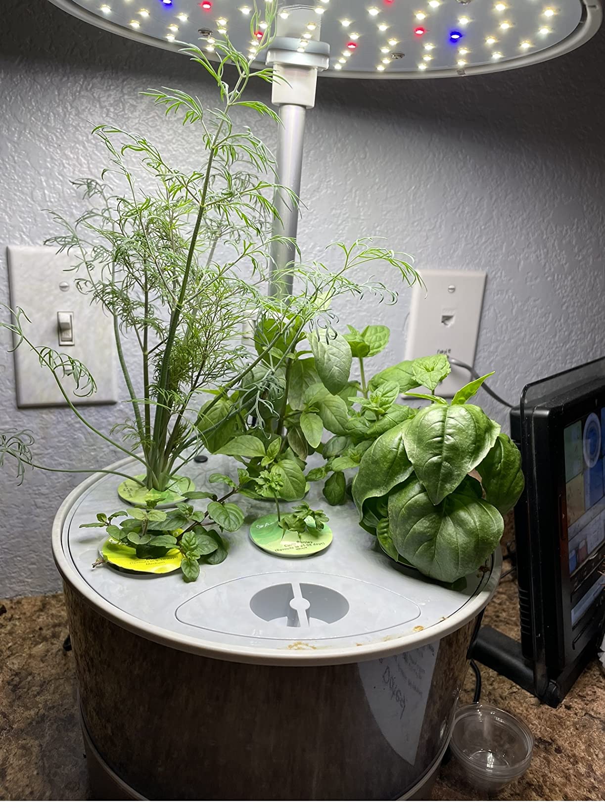 Harvest Elite 360 Indoor Garden Hydroponic System with LED Grow Light and Herb Kit, Holds up to 6 Pods, White customer photo 2