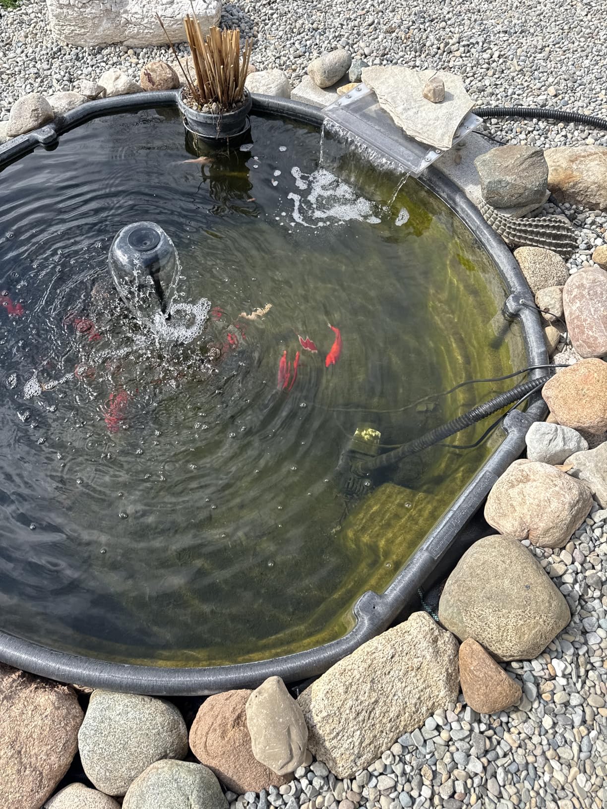 VIVOHOME Pressurized Biological Pond Filter, 1840GPH Suitable for Koi Ponds up to 1000 Gallons or Ornamental Ponds up to 2100 Gallons customer photo 2
