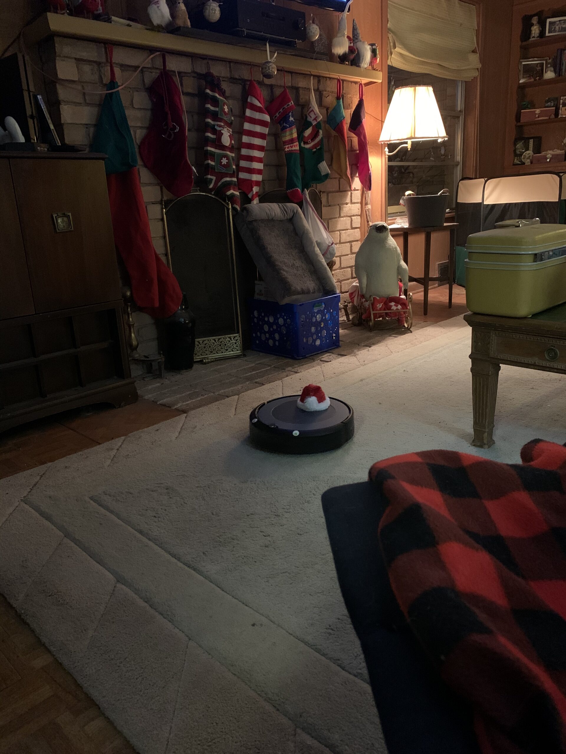 iRobot Roomba i3+ EVO Self-Emptying Robot Vacuum - Now Clean by Room with Smart Mapping, Empties Itself for Up to 60 Days, Works with Alexa, Ideal for Pet Hair, Carpets customer photo 1