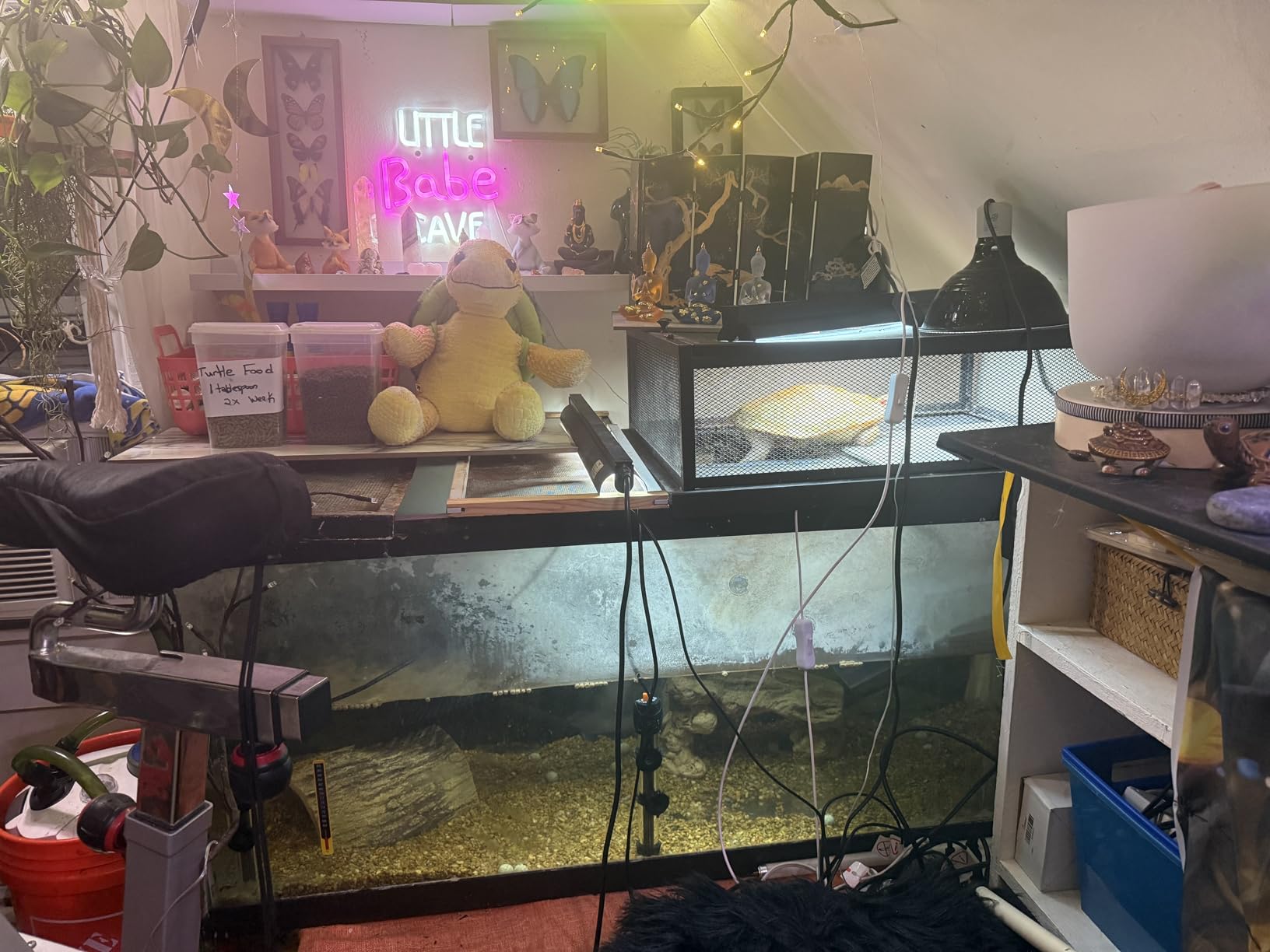 REPTI ZOO T5 HO UVB Lighting Combo Kit, Terrarium Hood Comes with Desert 10.0 UVB T5 Lamp (24W) customer photo 3
