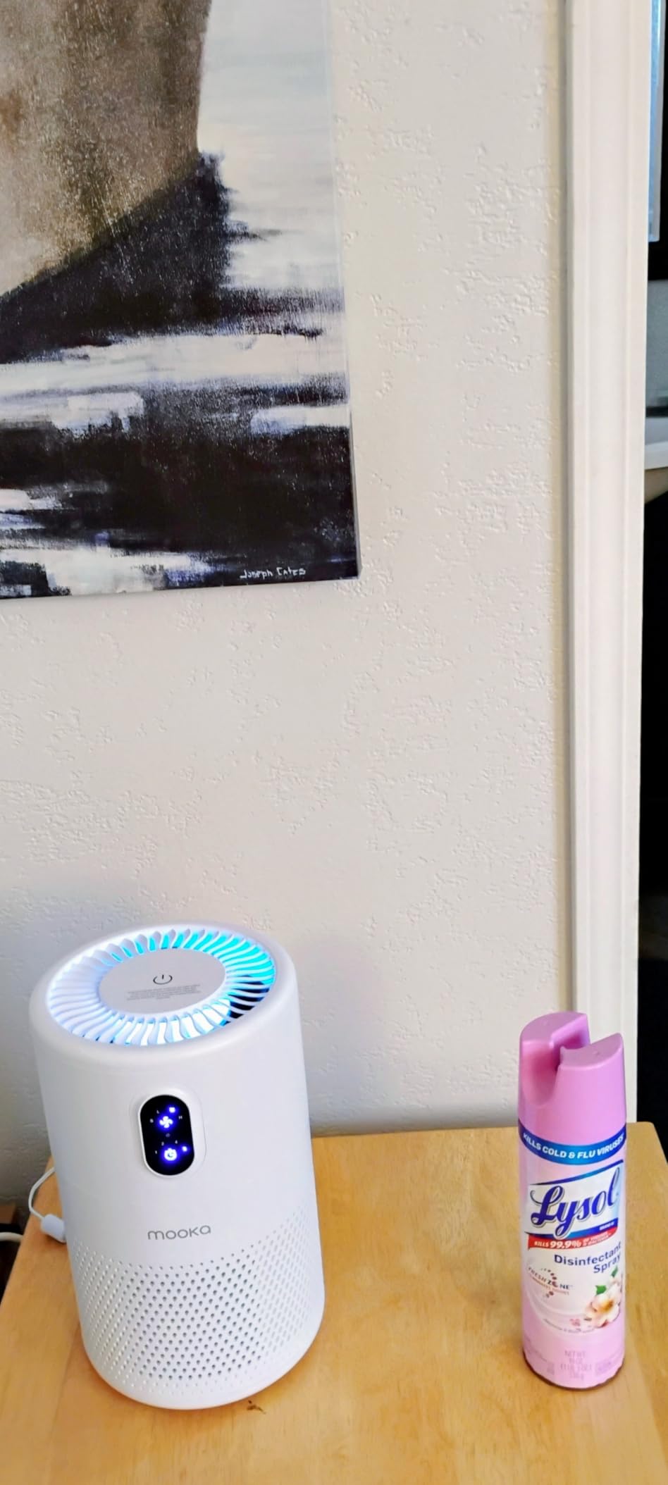 MOOKA Air Purifiers for Home Large Room up to 1076ft², H13 True HEPA Air Filter Cleaner, Odor Eliminator, B-D02L White customer photo 2
