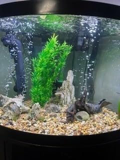 AA GKM24W Internal UV for Aquariums up to 120Ga, Black customer photo 2