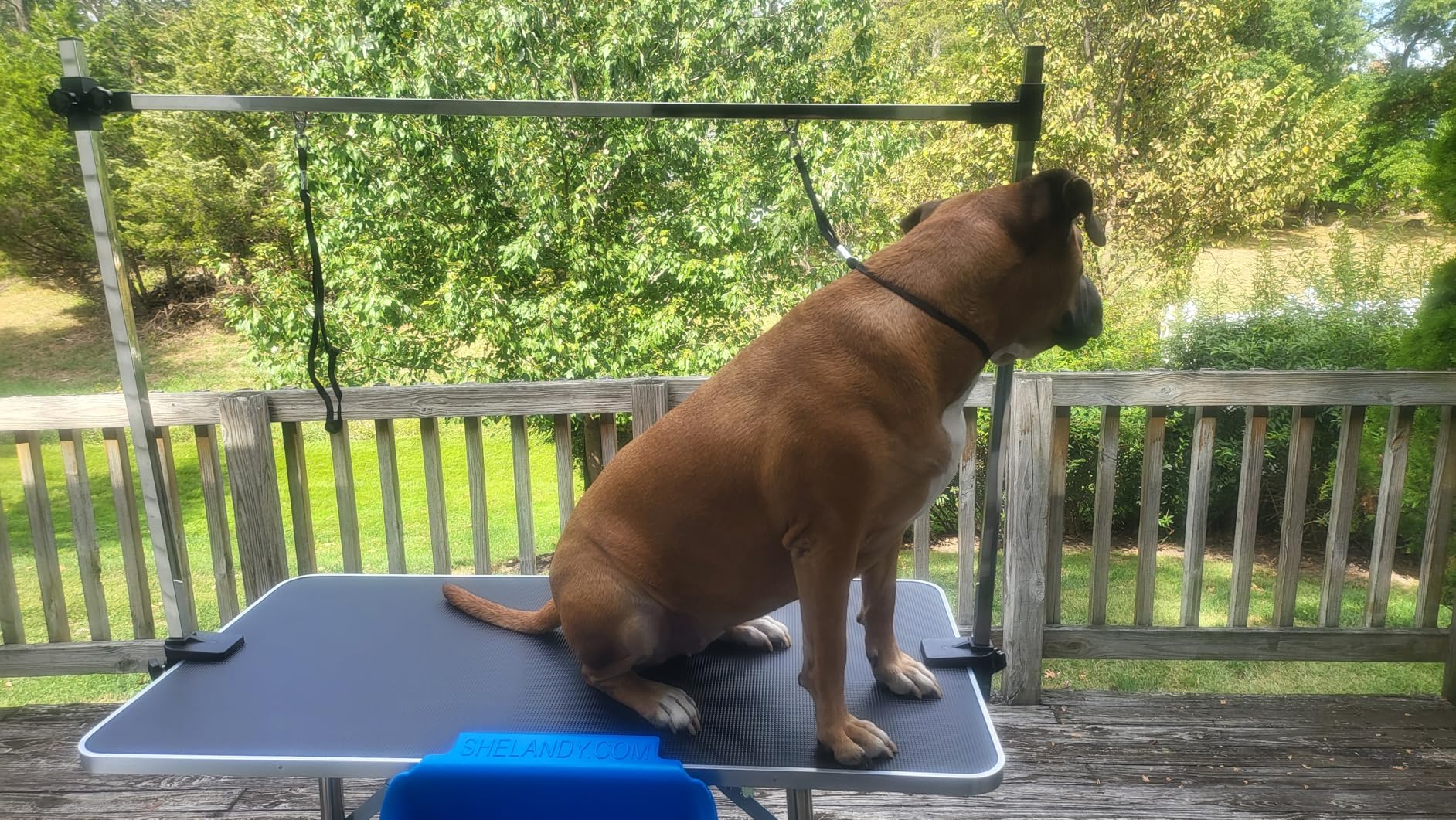 Lyromix 46''Large Dog Grooming Table, Adjustable Cat Drying Desktop with Arms, Nooses, Mesh Tray, Foldable Pet Station at Home, Maximum Capacity Up to 330Lb, 46inch, Black customer photo 1