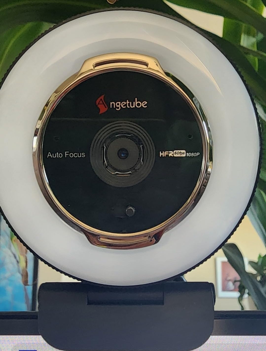 Angetube Streaming Webcam with Microphone: 1080P 60FPS USB Web Cam with Ring Light and Remote Control - HD Web Camera with 5X Digital Zoom customer photo 1