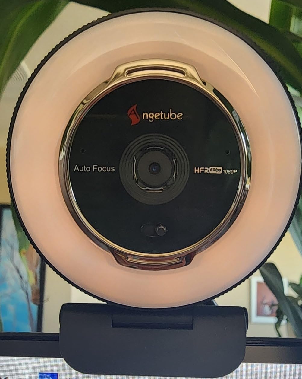 Angetube Streaming Webcam with Microphone: 1080P 60FPS USB Web Cam with Ring Light and Remote Control - HD Web Camera with 5X Digital Zoom customer photo 2