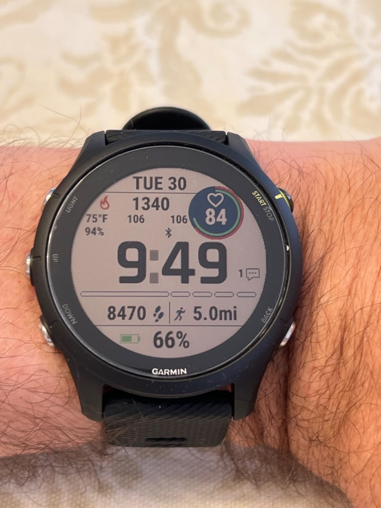 Garmin Forerunner 255, GPS Running Smartwatch, Advanced Insights, Long-Lasting Battery, Tidal Blue customer photo 2
