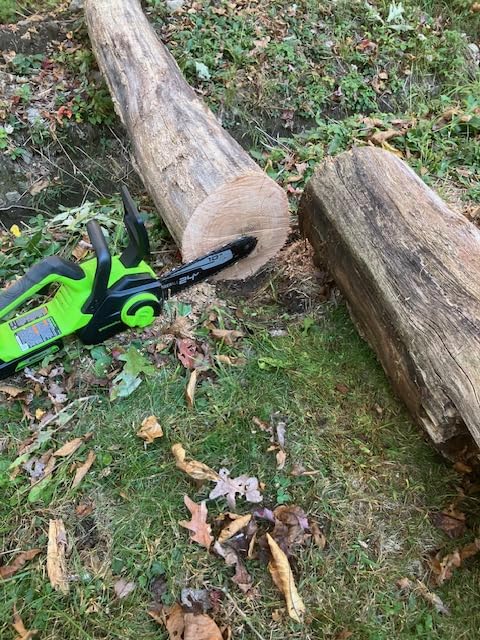 Greenworks 24V 10
