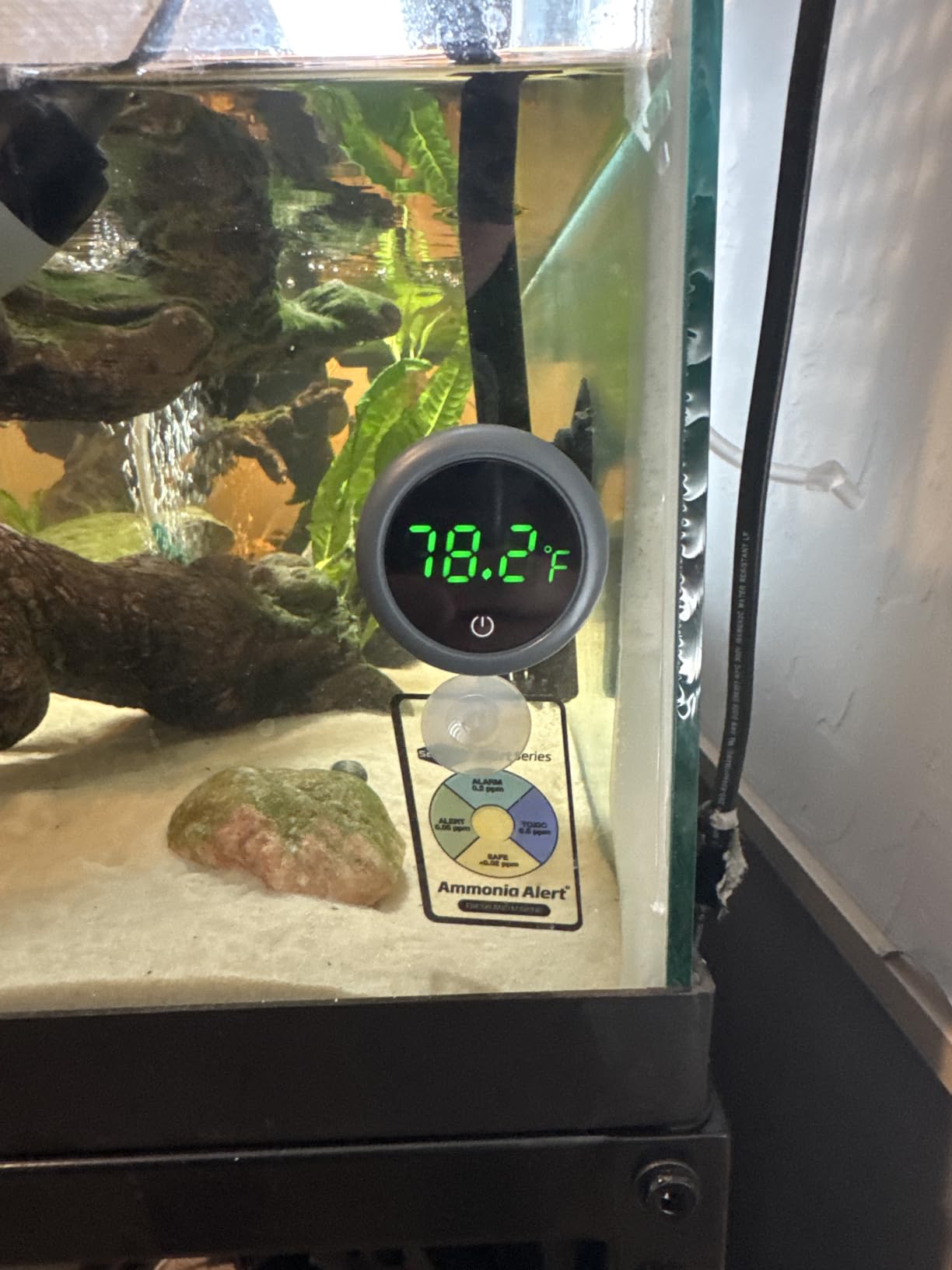 PAIZOO Fish Tank Digital Thermometer Accurate LED Display to ±0.9°F Tank Thermometer Aquarium Temperature Measurement Suitable for Fish, Axolotl, Turtle or Aquatic customer photo 2