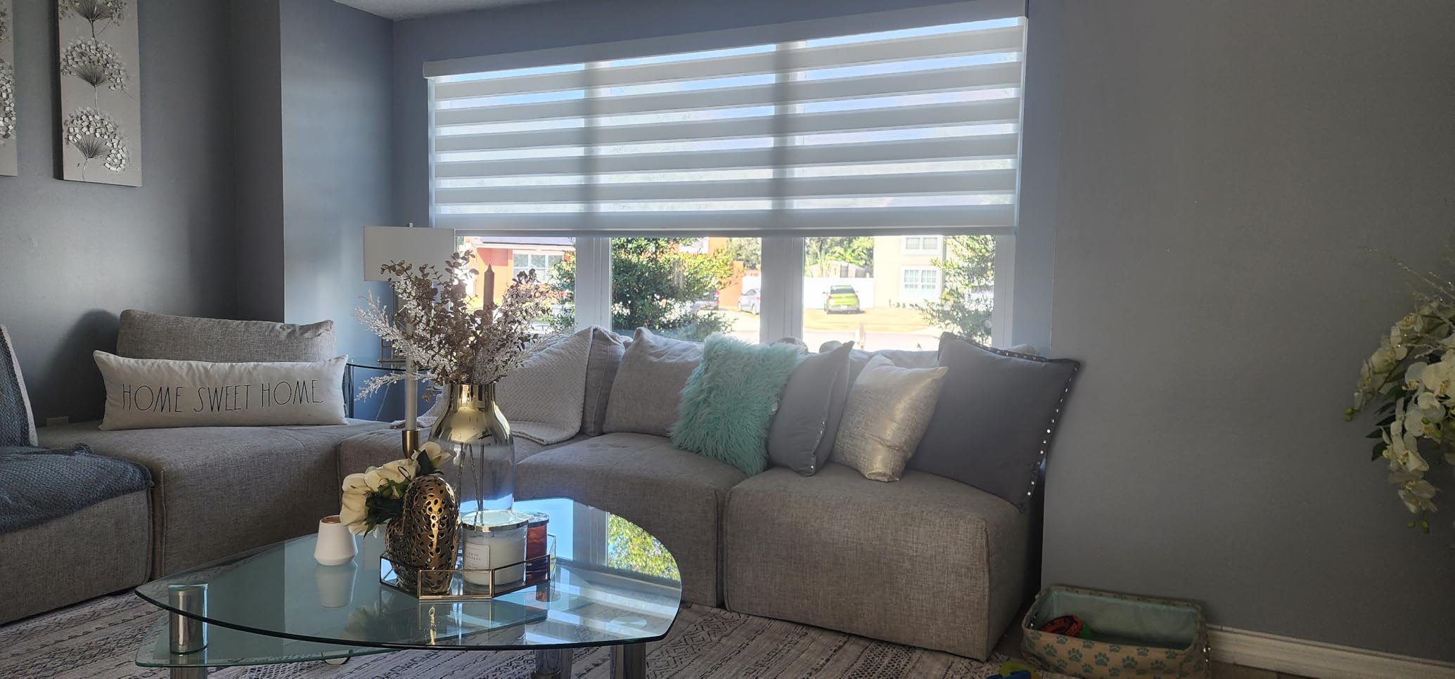 Yoolax Motorized Zebra Blinds Compatible with Alexa, Smart Dual Layer Shades with Privacy Light Control, Electric Horizontal Window Blind Customized Size for Home Office (90% Shading White Matte) customer photo 2