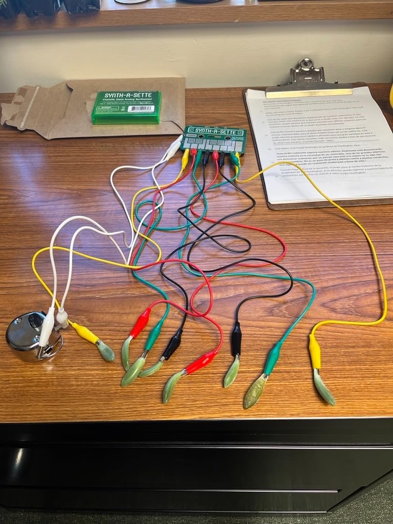 Synth-a-Sette: The Original Cassette Sized Analog Synthesizer - Pocket Synth customer photo 1