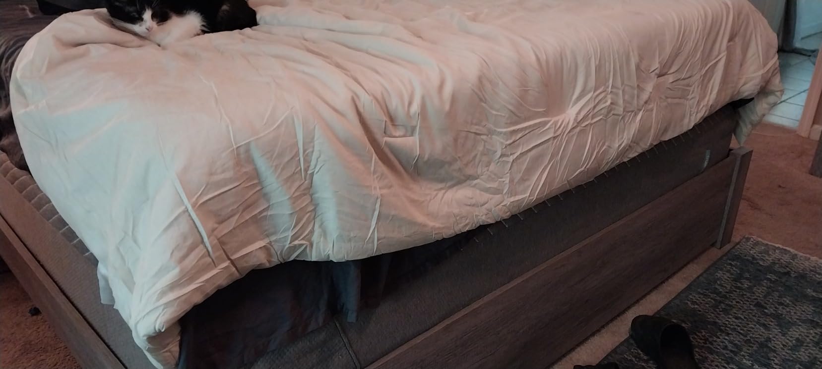 Bedsure Cooling Comforter Queen Size Charcoal Black - Lightweight Comforter Set for Hot Sleepers, Reversible Bedding for All Season, 3 Pieces, 1 Soft Comforter (88x88) and 2 Pillow Cases (20x26) customer photo 1