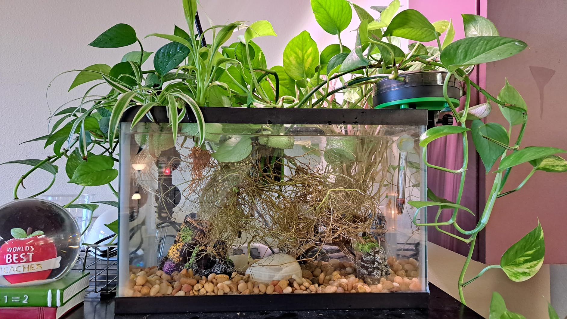Automatic Fish Feeder for Aquarium - Moisture-Proof and Precision Feeding Betta Vacation Feeder, USB Rechargeable Auto Fish Food Dispenser with Timer, LCD Display customer photo 2