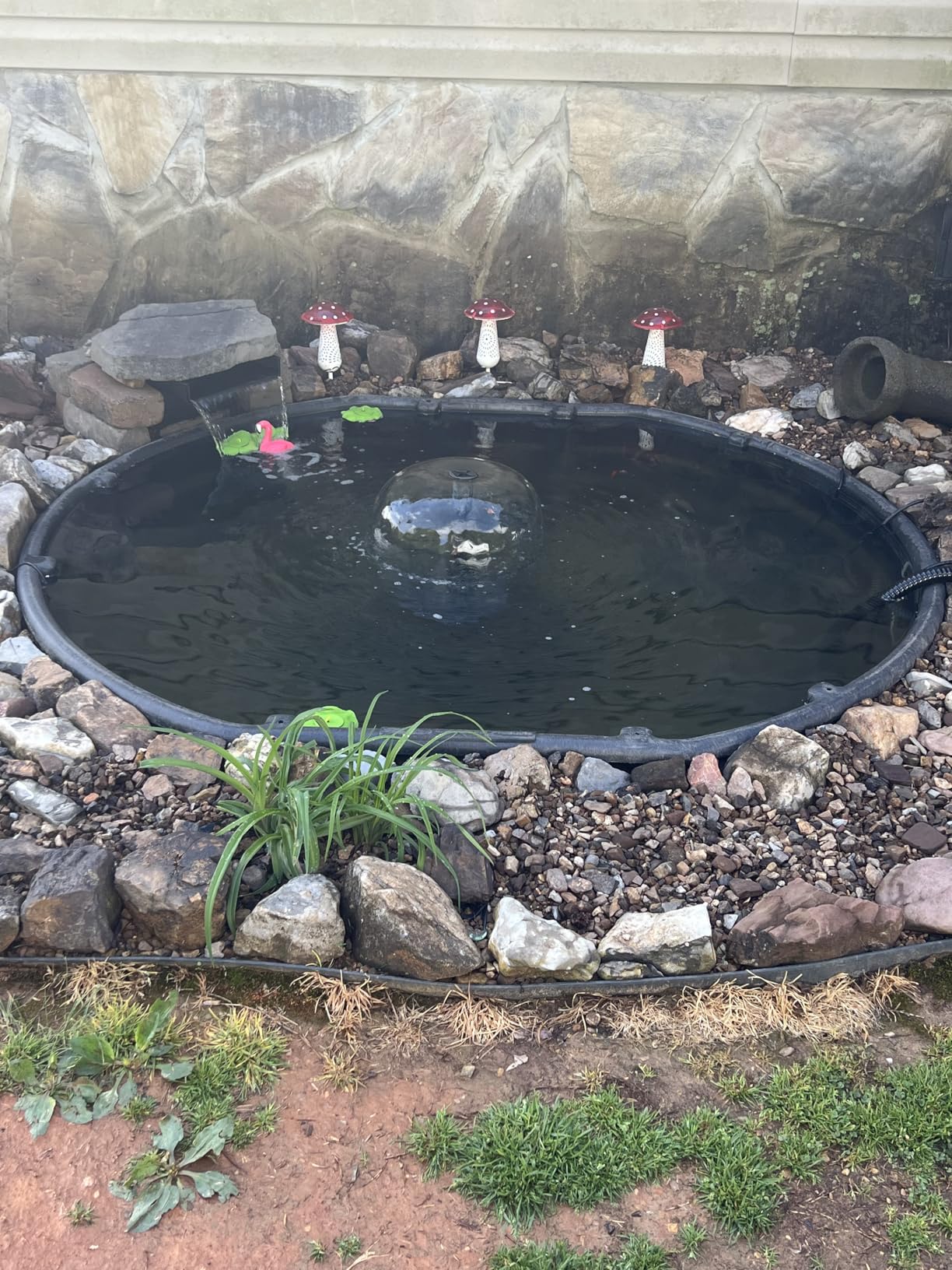VIVOGROW Bio Pressure Pond Filter, with 13W UV-C Light, 1580 GPH Suitable for Koi Ponds up to 800 Gallons or Landscape Pools up to 1600 Gallons customer photo 2