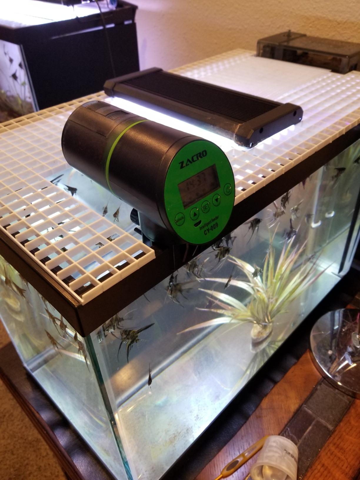 Automatic Fish Feeder - Rechargeable Timer Fish Feeder with USB Charger Cable, Fish Food Dispenser for Aquarium or Fish Tank customer photo 1