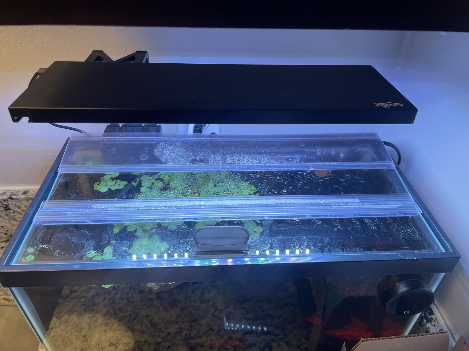 SEAOURA Clip On Aquarium Light for Plants-24/7 Cycle Fish Tank Light with Timer, Full Spectrum+7 Colors Mode, Auto On/Off, Adjustable Brightness and Height, 12W (7inch for 7-12 inch Tank) customer photo 1