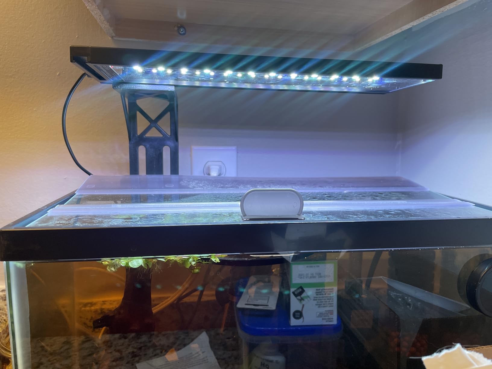 SEAOURA Clip On Aquarium Light for Plants-24/7 Cycle Fish Tank Light with Timer, Full Spectrum+7 Colors Mode, Auto On/Off, Adjustable Brightness and Height, 12W (7inch for 7-12 inch Tank) customer photo 2