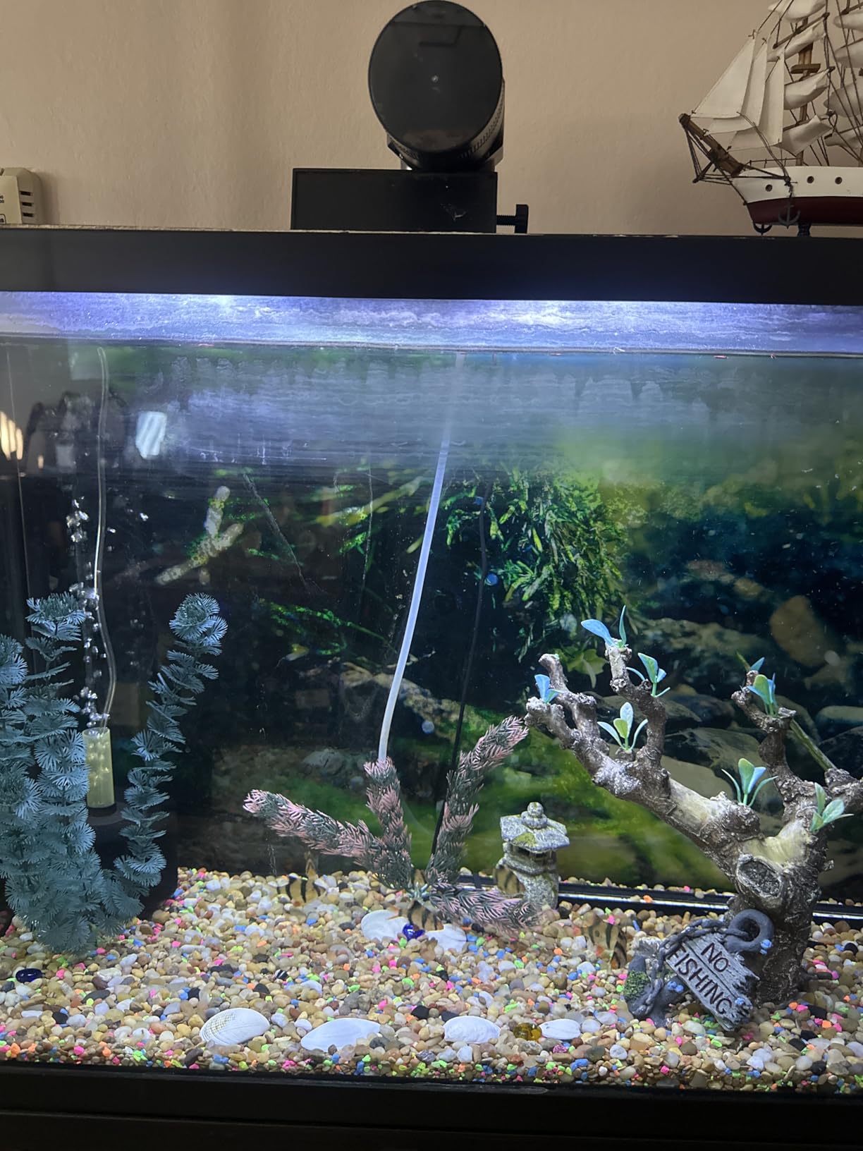 Automatic Fish Feeder Dispenser for Aquarium: 200ml Large Capacity Auto Feeders for Small Tank Turtle Betta Koi - Battery Food Feeding Timer for Flakes Pellet Vacation Weekend Day customer photo 2