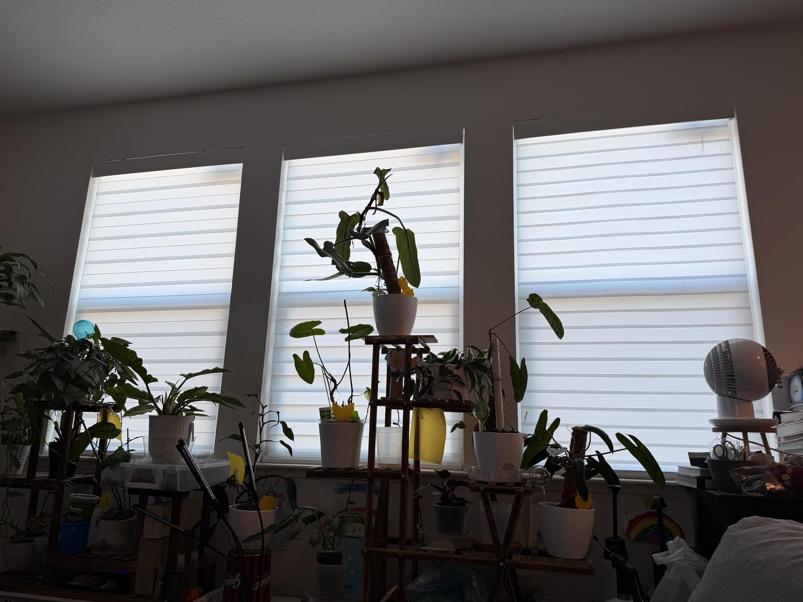 DENFOON Motorized Zebra Blinds, Solar Powered Dual Layer Automatic Shades with Remote Control, Rechargeable Smart Blinds Horizontal Wireless Electric Shades for Windows. White, 26 x 72 customer photo 1