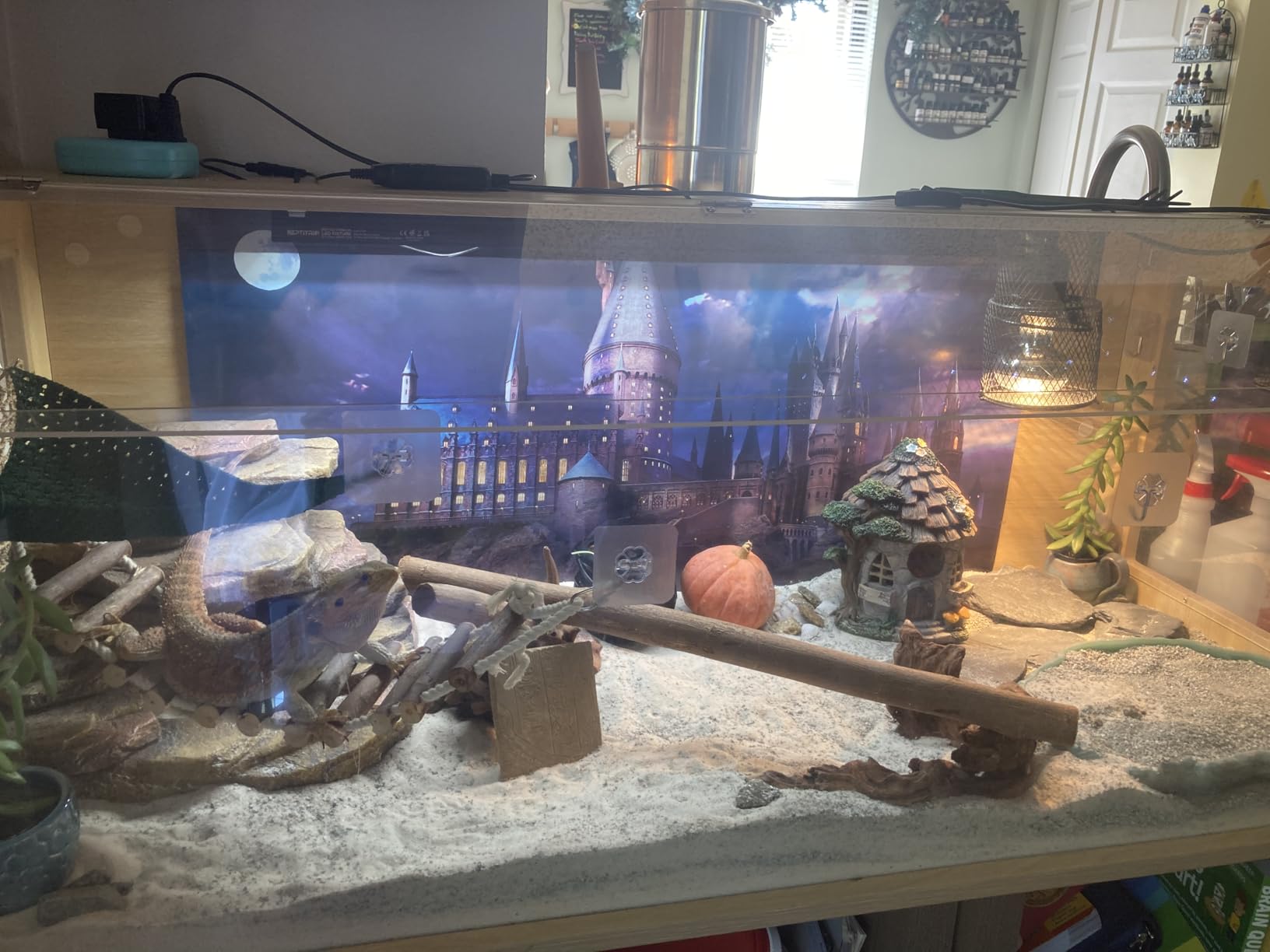 REPTITRIP 16-Inch LED UVB Reptile Light with Auto On/Off & Preset Day-Night Cycle Dimming customer photo 3