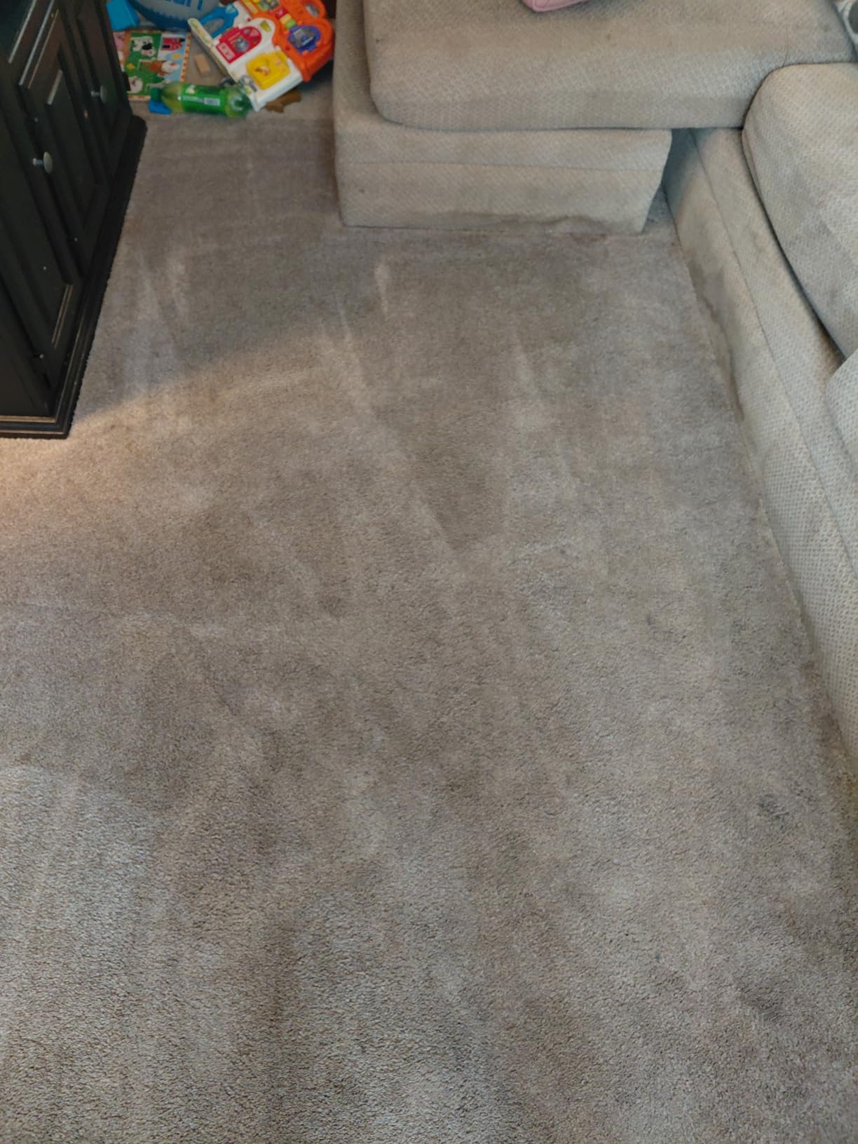 TurboClean PET, Upright Carpet & Upholstery Cleaner, 3948 customer photo 1