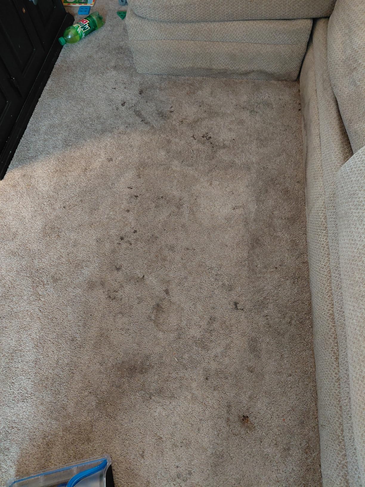 TurboClean PET, Upright Carpet & Upholstery Cleaner, 3948 customer photo 2