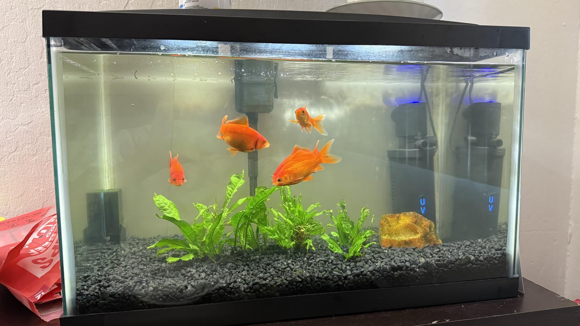158GPH Small Aquarium Filter, UV Sterilizer for Aquarium for 10-45 Gallon Tank, Internal Pump for Turtle Betta Fish Tank Filter Silent 4-in-1 Green Killing Machine customer photo 1