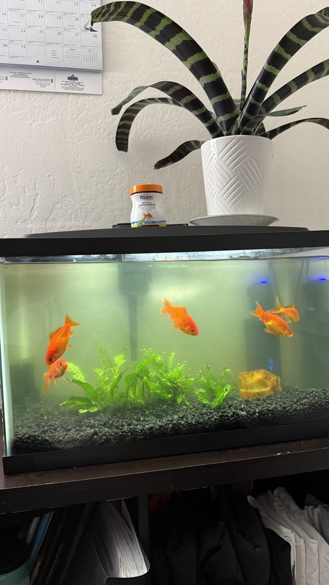 158GPH Small Aquarium Filter, UV Sterilizer for Aquarium for 10-45 Gallon Tank, Internal Pump for Turtle Betta Fish Tank Filter Silent 4-in-1 Green Killing Machine customer photo 2