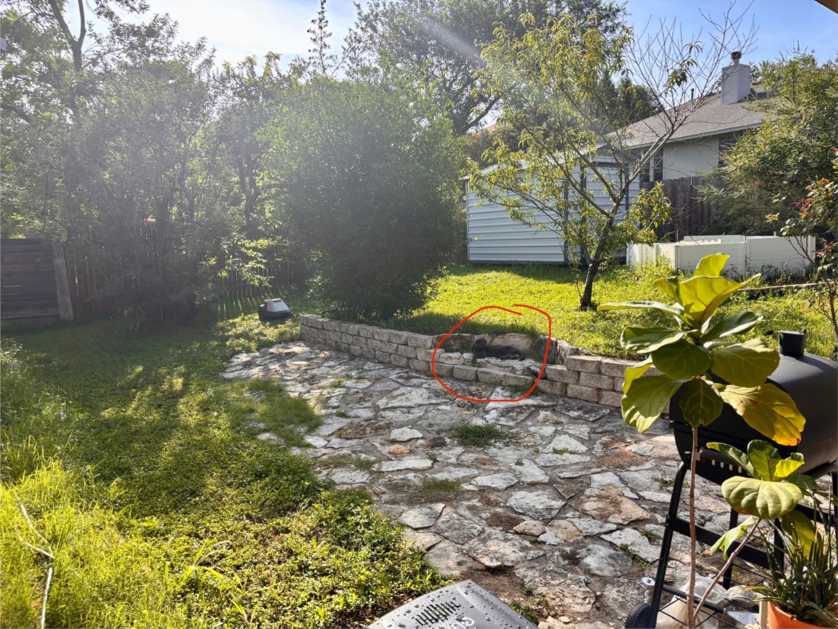 eufy Robot Lawn Mower E15, Auto Mapping, Pure Vision Navigation, Wire Free RTK Free, Multi-Zone Management, AI 3D Obstacle Avoidance, GPS Anti-Theft, 0.2 Acres, 18° Slope, App Control customer photo 1