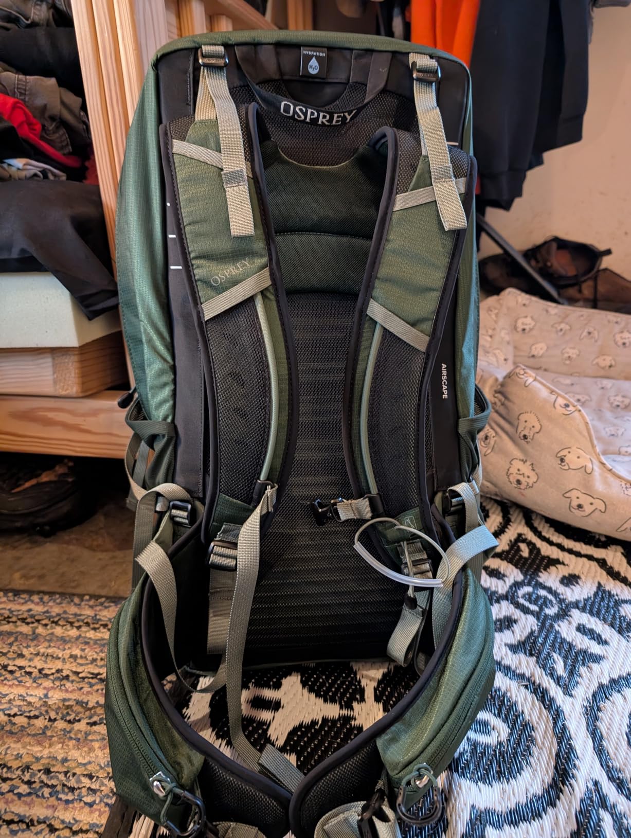 Osprey Talon 33L Men's Lightweight Hiking Backpack - Daypack for Travel & Camping, Black/Coal Grey customer photo 2