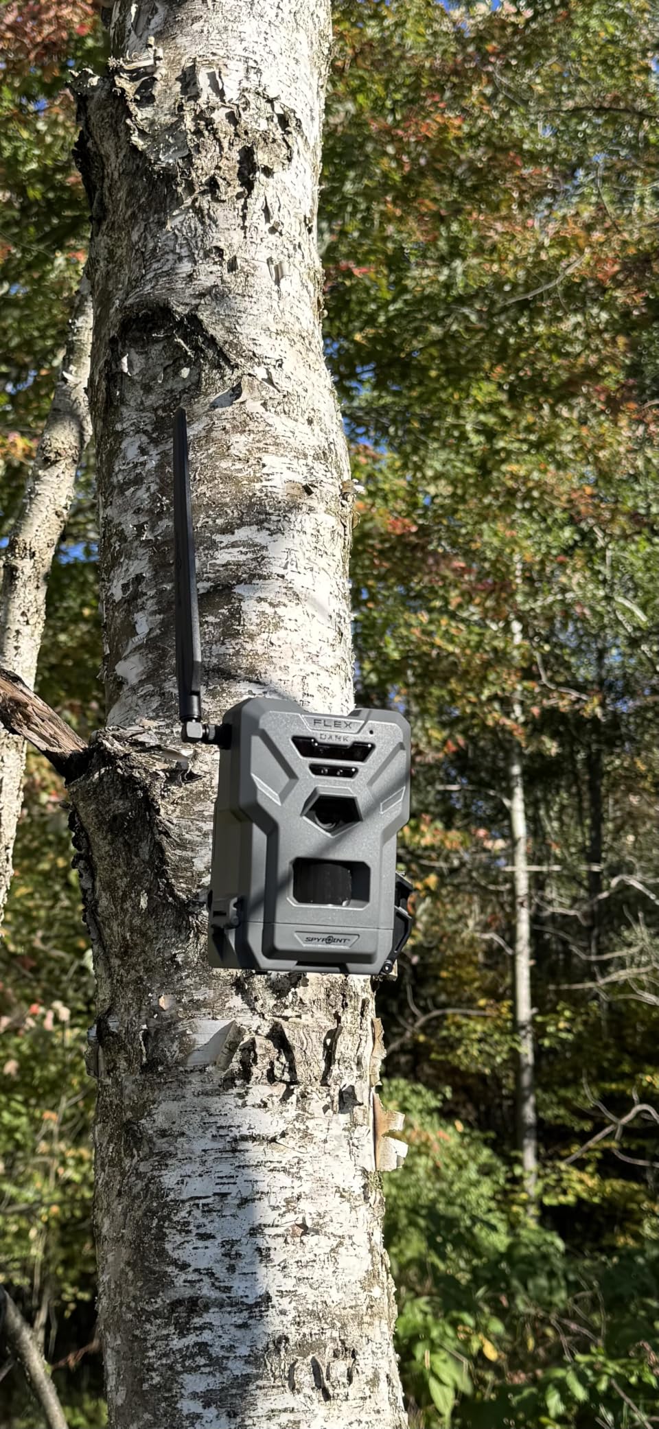 SPYPOINT Flex-Dark Twin Pack Cellular Trail Camera, 40MP Photos, 1080p Video + Sound, No-Glow Game Camera, Hunting Night Vision, Motion Activated,100ft Detection, No WiFi Needed Trail Cam customer photo 2