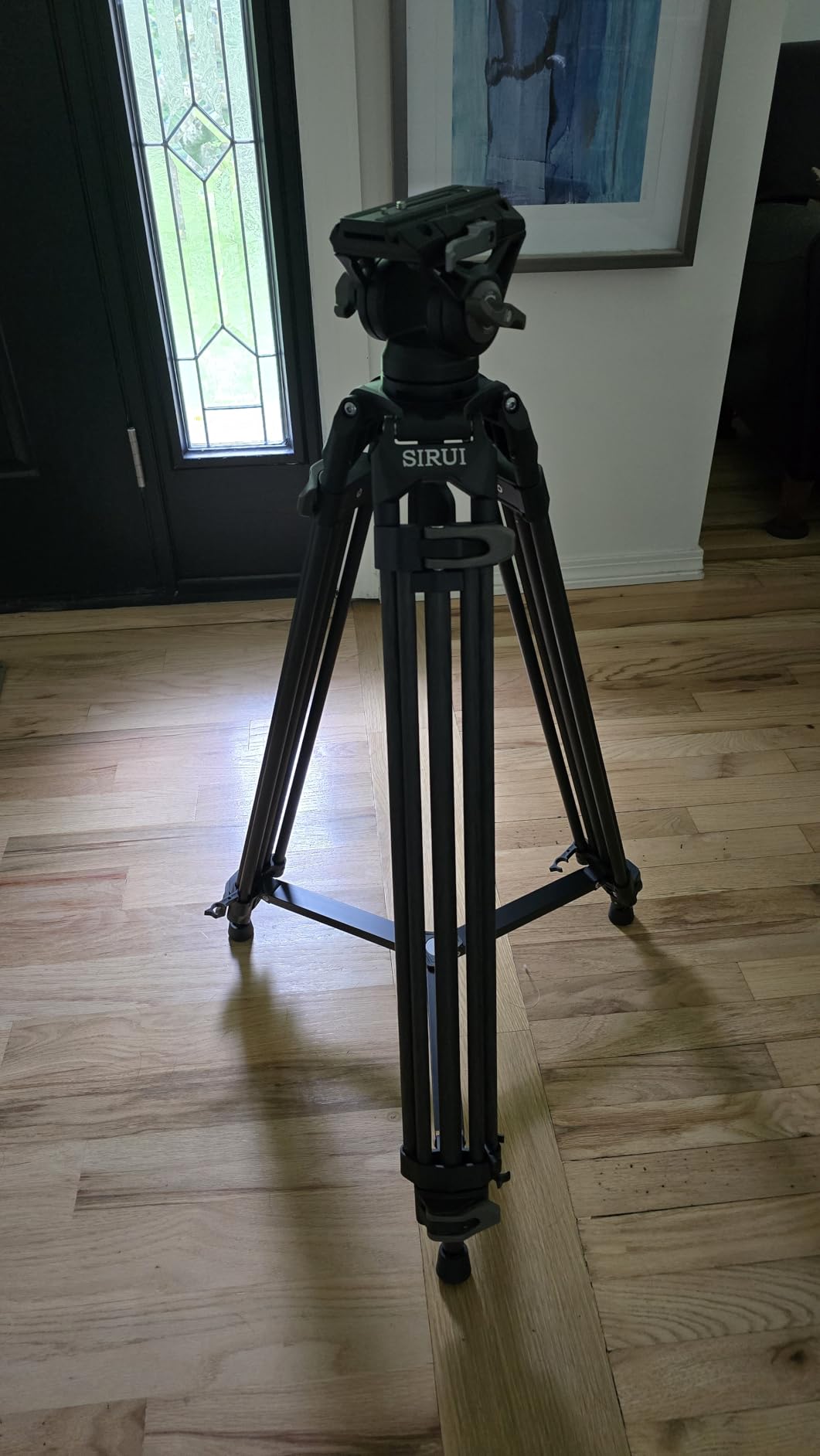 Quick Release Carbon Fiber Video Tripod, 73