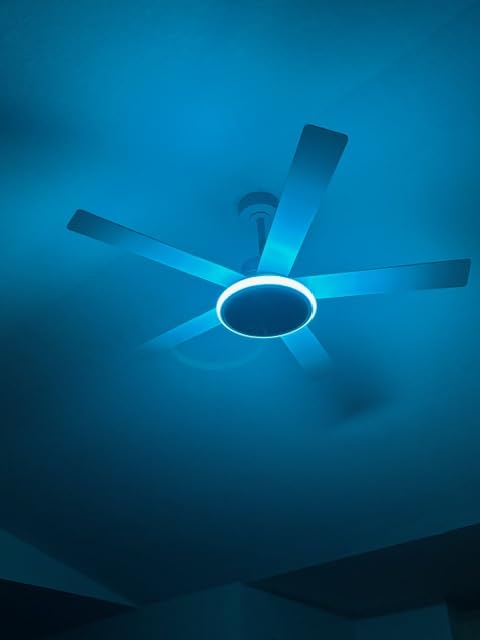 Lumary 52'' Smart Ceiling Fan with RGBAI Lights Remote, WiFi Bluetooth Low Profile, Alexa Google App Control customer photo 2