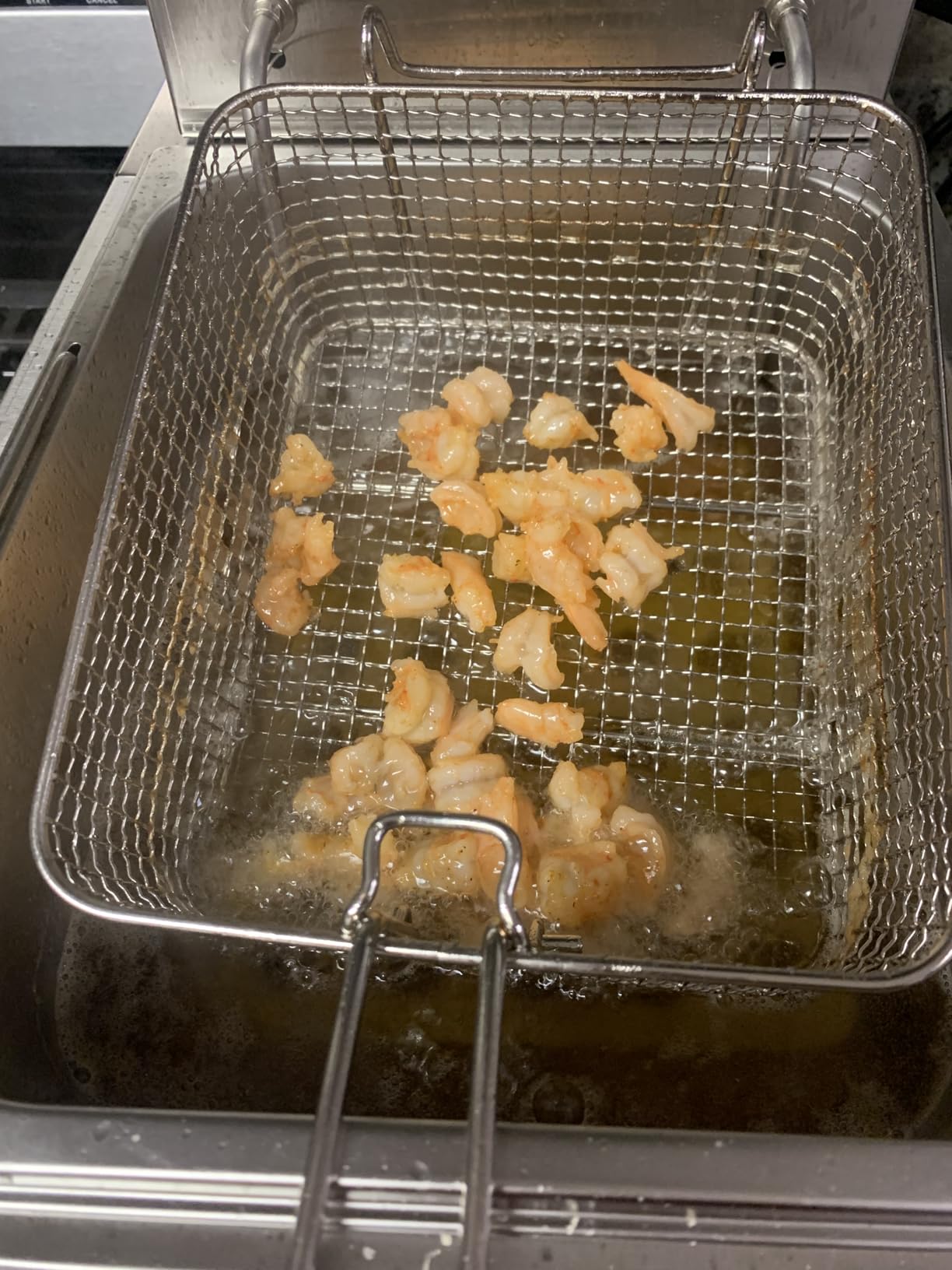 Commercial Deep Fryer - 26 L Large Deep Fryer with 10 L Basket, Commercial Deep Fryer with Basket (2Pcs), Stainless Steel Countertop Deep Fryer w/Adjustable Temperature and Restaurant Use customer photo 1