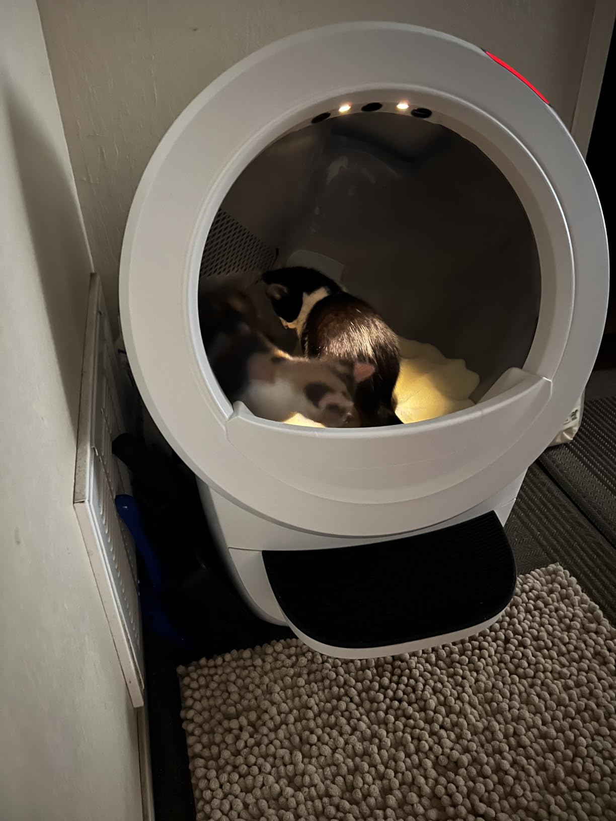 Litter-Robot 4 Supply Bundle by Whisker, Black - Automatic, Self-Cleaning Cat Litter Box customer photo 1