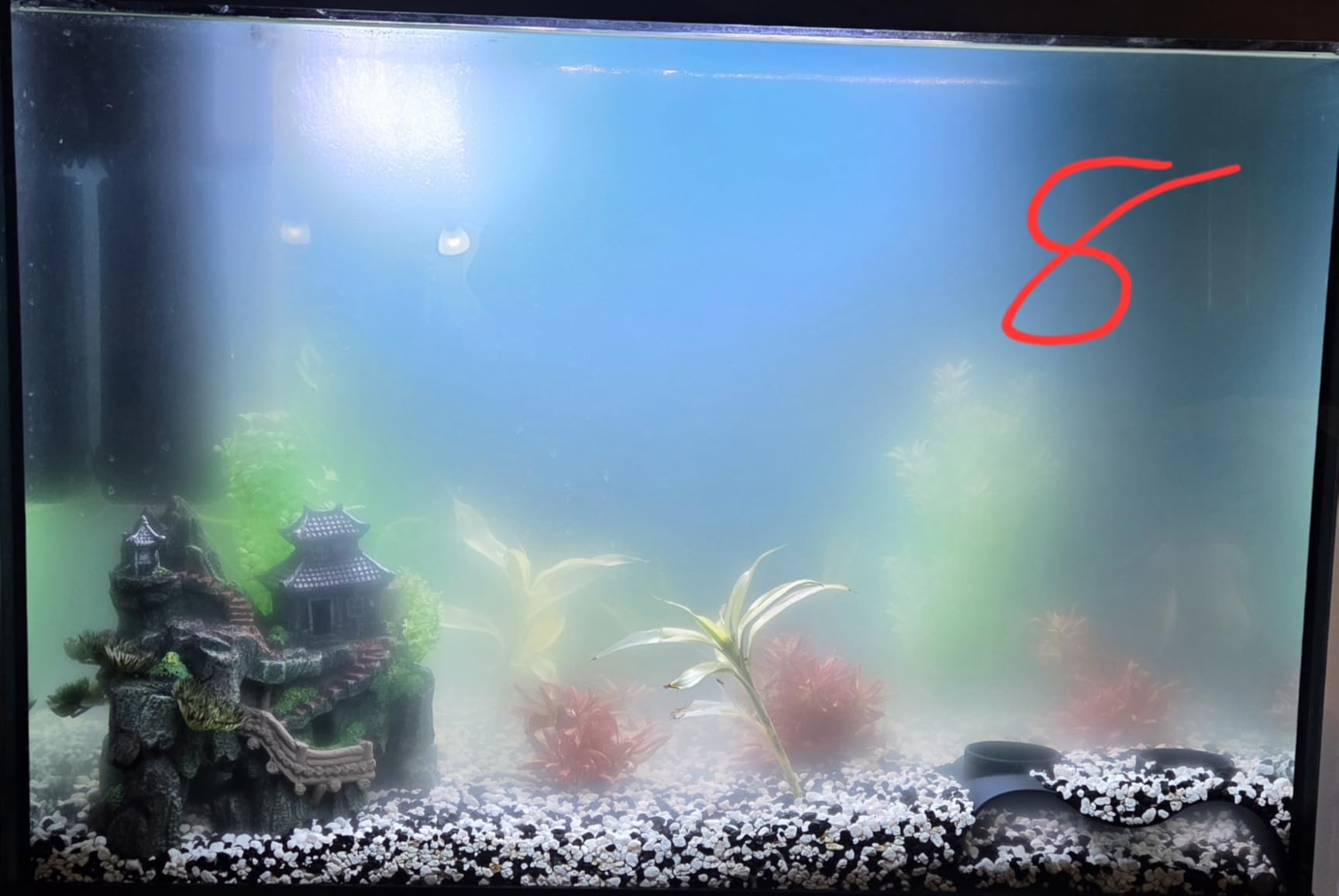 AquaMiracle Aquarium Filter with U-V Light & Filter Sponge, Fish Tank Filter with Timer for Green Water, Turtle Filter with Aeration & Rainfall Mode for Aquarium 10-30 Gallon customer photo 1