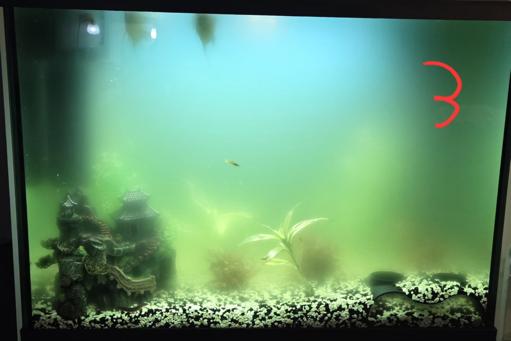 AquaMiracle Aquarium Filter with U-V Light & Filter Sponge, Fish Tank Filter with Timer for Green Water, Turtle Filter with Aeration & Rainfall Mode for Aquarium 10-30 Gallon customer photo 2