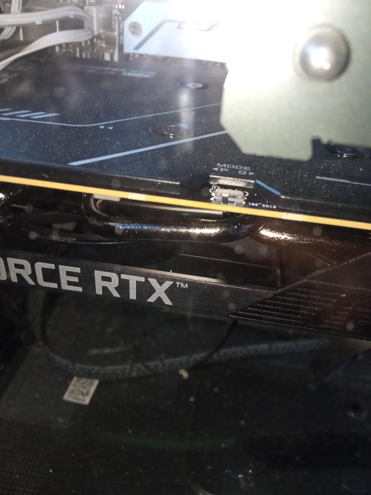 ASUS Prime GeForce RTX 5050 8GB GDDR6 OC Edition Graphics Card (SFF-Ready, PCIe 5.0) customer photo 1