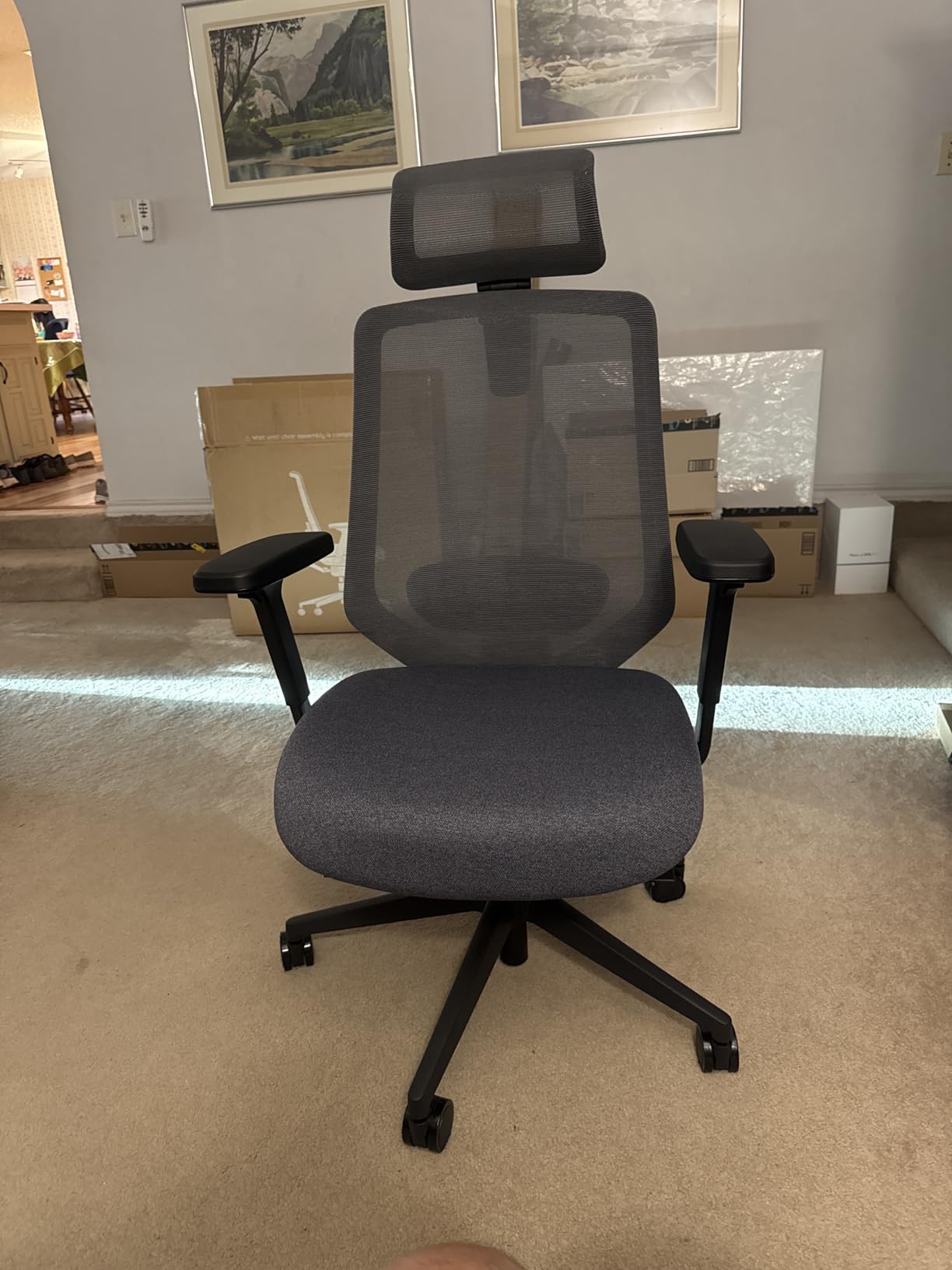 Branch Ergonomic Chair Pro - Mesh Office Chair with 14 Points of Adjustment - Height, Depth & Tilt Adjustable - 5D Armrests - Forward Tilt, Smooth Recline, and Lumbar Support - Black customer photo 1