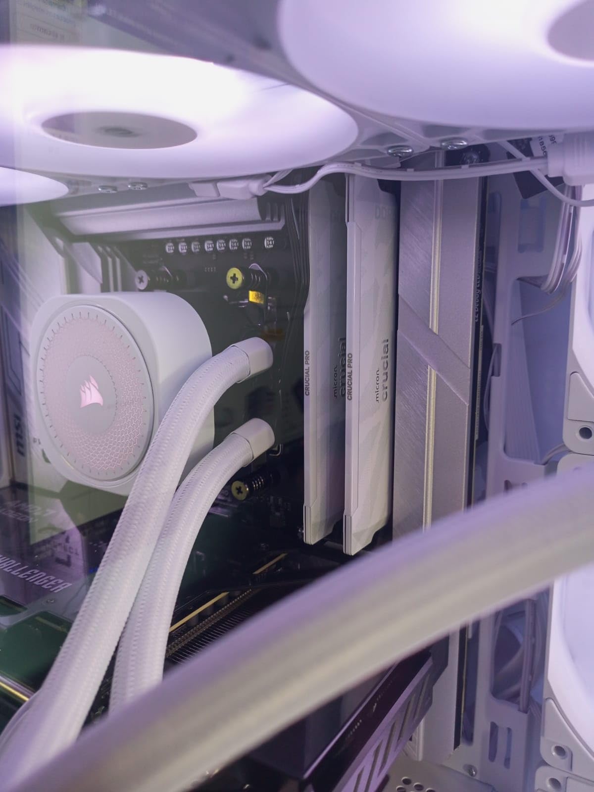 Crucial Pro DDR5 RAM 32GB Kit (2x16GB) 6400MHz CL32 AMD Expo Intel XMP 3.0 - White customer photo 2