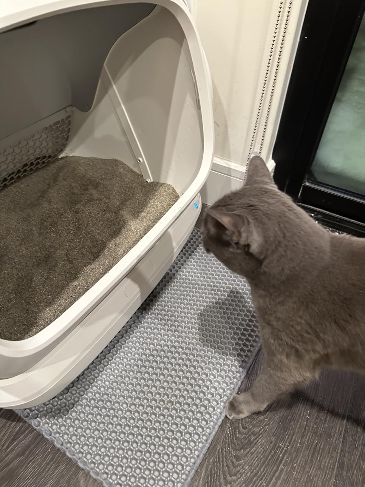 Self Cleaning Cat Litter Box, XXXL Automatic Litter Box for Multiple Cats, Weight Sensors Safety Protection, Smart APP Control, Odor Control customer photo 2