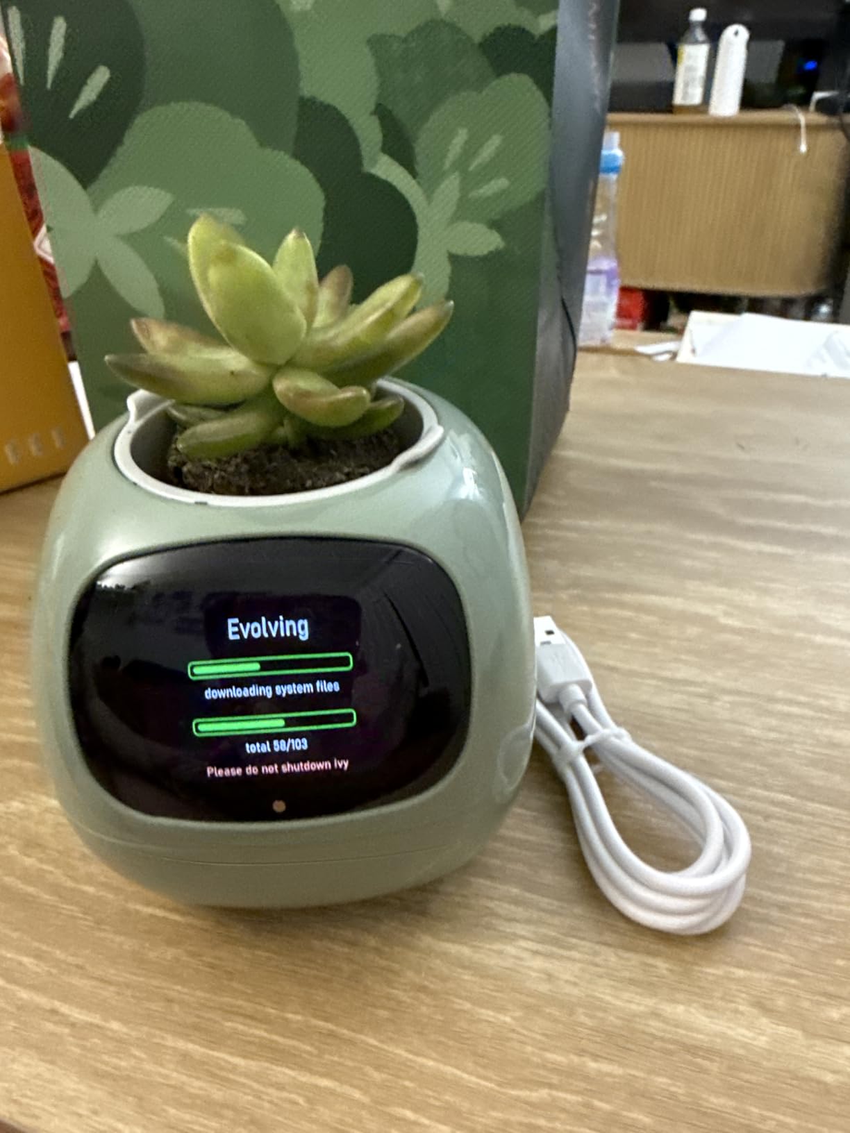 Ivy Interactive AI Desk Companion, Smart Plant Pet with 100+ Expressions, Cute Indoor Planter for Office Decor, Unique Gift for Plant Lovers & Coworkers(Lemon) customer photo 1
